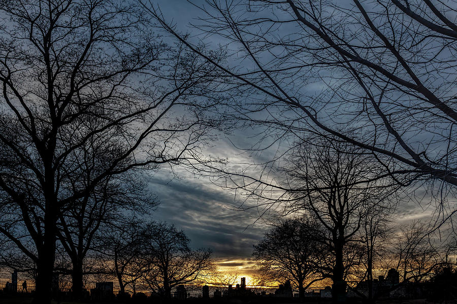 Winter Trees Sky and Clouds - NYC Skyline Photograph by Robert Ullmann