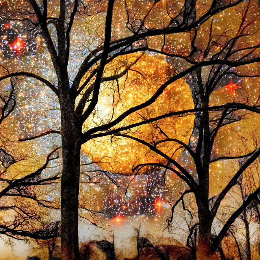 Winter Trees under a Full Moon Abstract Painting in Square Photograph by Debra and Dave Vanderlaan