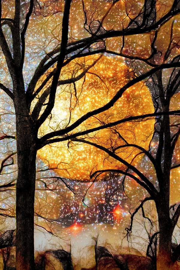 Winter Trees under a Full Moon Abstract Painting Vertical Photograph by Debra and Dave Vanderlaan