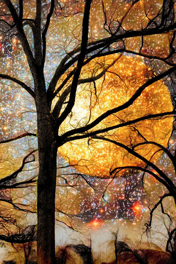 Winter Trees under a Full Moon Abstract Painting Vertical II Photograph by Debra and Dave Vanderlaan