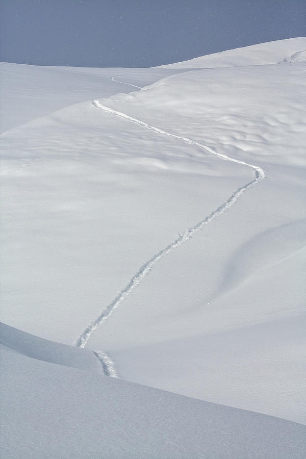 Winter Trek Photograph by Ann Skelton