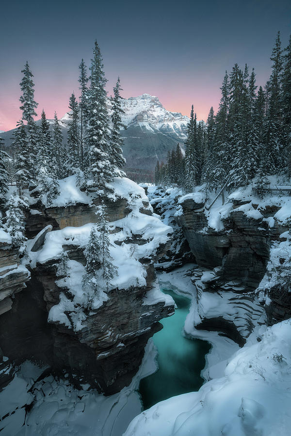 Winter Twilight at Athabasca Falls Photograph by Henry w Liu