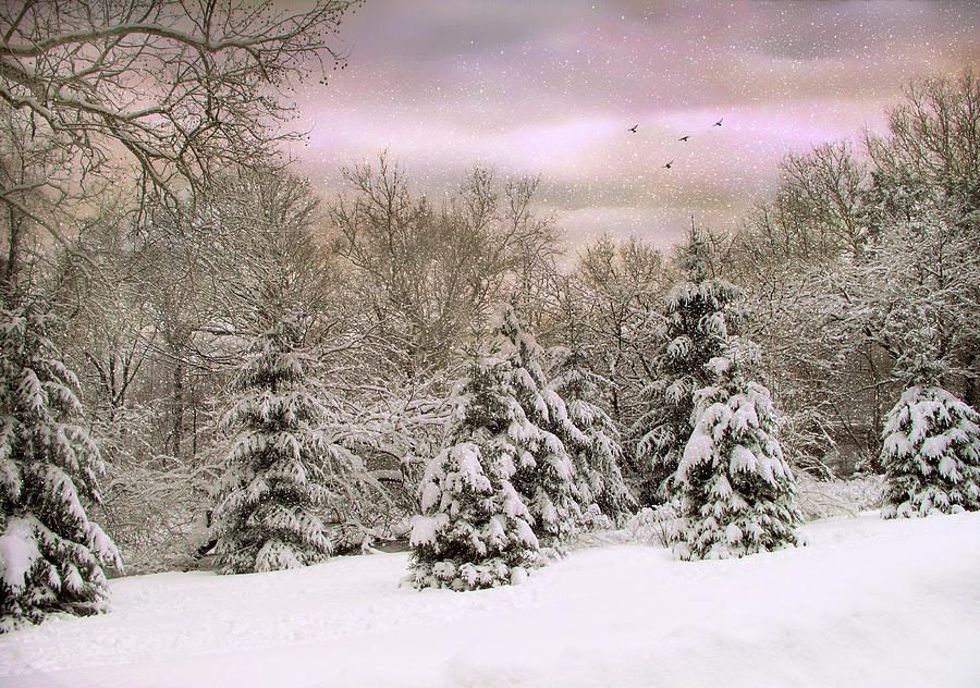 Winter Twilight Photograph by Jessica Jenney