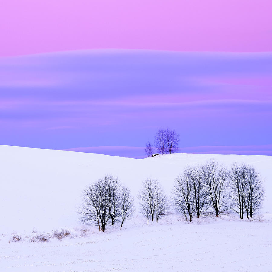 Winter Twilight Landscape Square Photograph by Alan L Graham