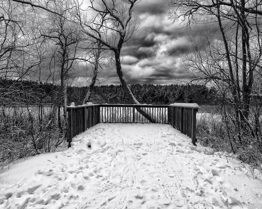 Winter View Black and White Photograph by Scott Olsen