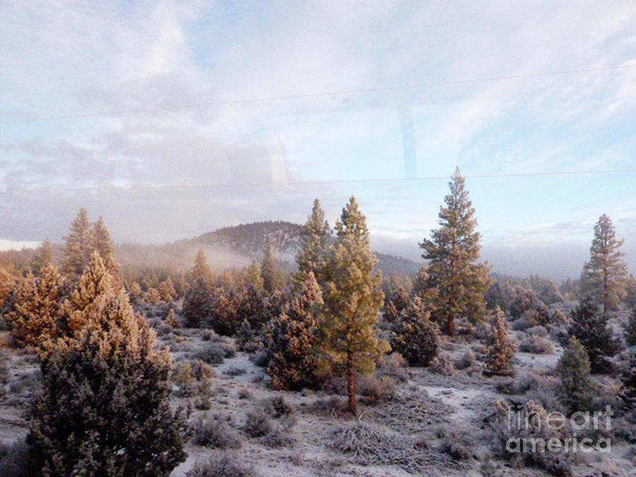 Winter View from Train Window Photograph by Paula Joy Welter