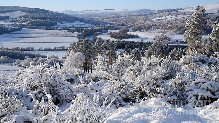 Winter View on the Speyside Way Photograph by Phil Banks