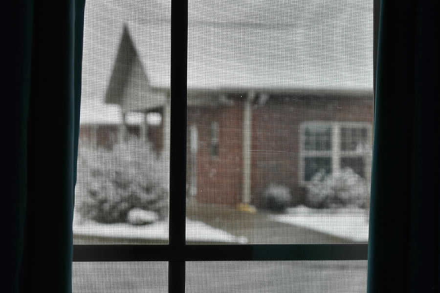 Winter View Through The Screen Photograph by Kathy K McClellan