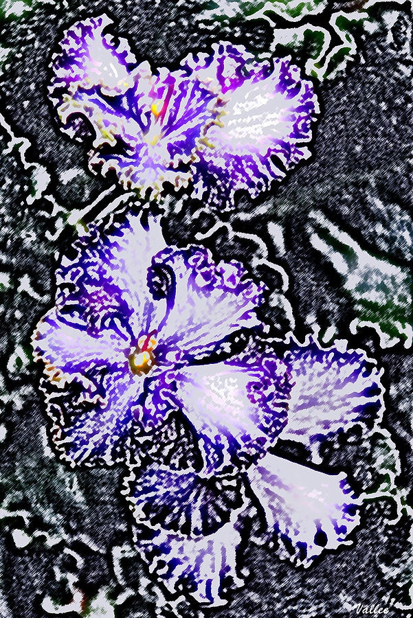 Winter Violets Painting by Vallee Johnson