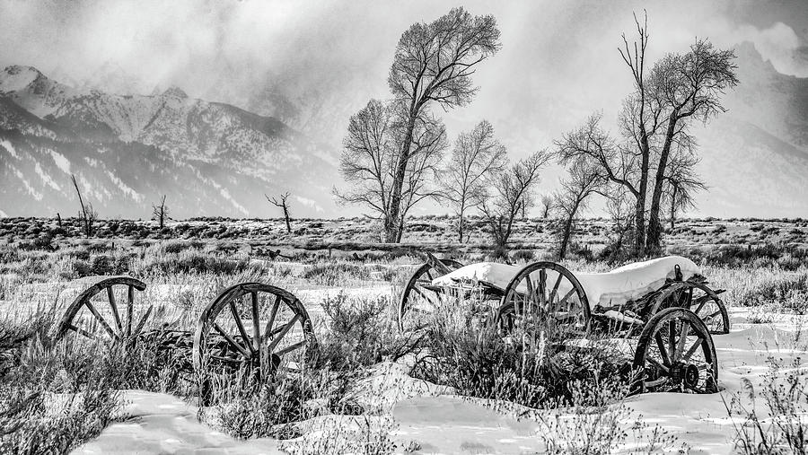 Winter Wagons, Black and White Photograph by Marcy Wielfaert