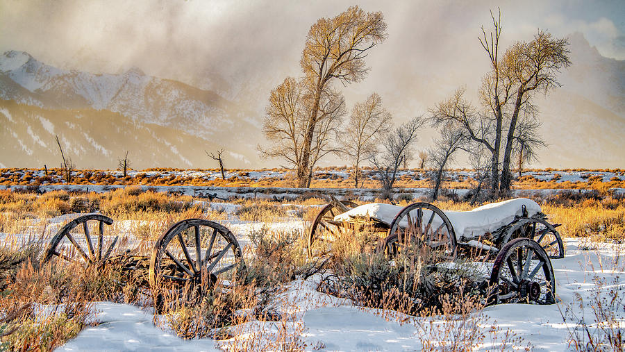 Winter Wagons, Grand Tetons Photograph by Marcy Wielfaert