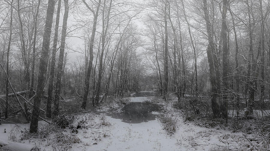 Winter Walk 3 Photograph by Robert Fawcett