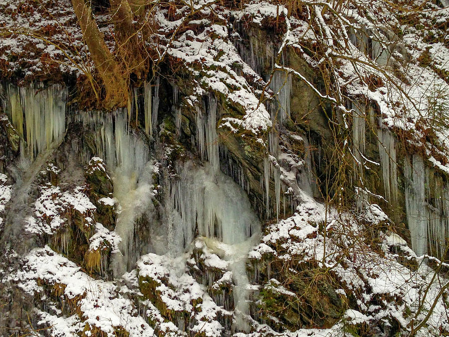 Winter Walk, Schladming, Austria Photograph by Mark Llewellyn