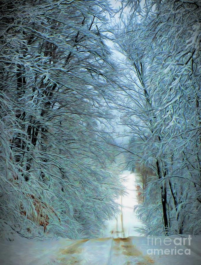 Winter Walkin Photograph by AnnMarie Parson-McNamara