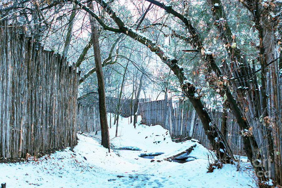 Winter Wanderings Photograph by Roselynne Broussard