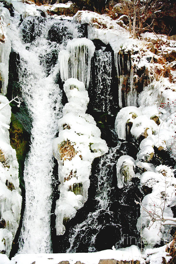 Winter Water Wonderland Photograph