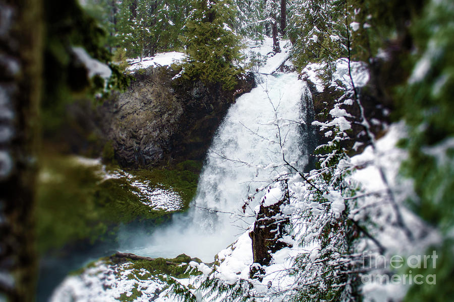 Winter Waterfall Fanstasy Photograph by Janie Johnson