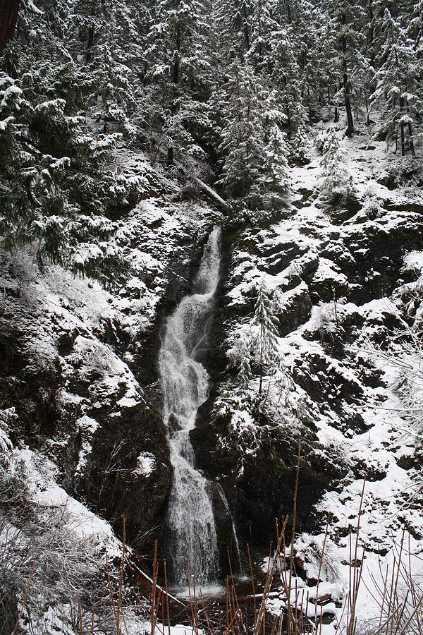 Winter Waterfall Warm Tone Photograph by Sarah Joy - Fine Art America