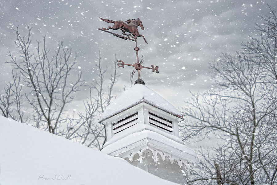 Winter Weather Vane Photograph by Fran J Scott