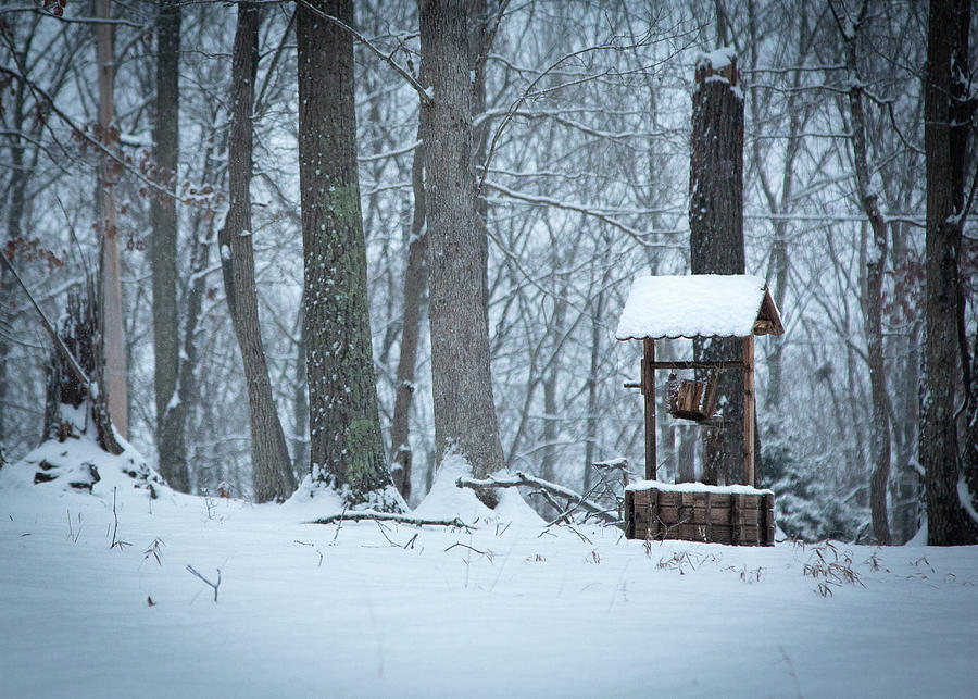 Winter Well Photograph by Lora J Wilson