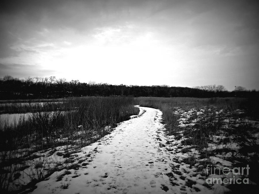 Winter Wetlands Walk - Frank J Casella Photograph by Frank J Casella