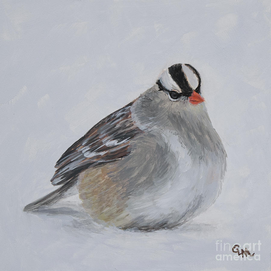 Winter White Crowned Sparrow Painting by Cheryl McClure