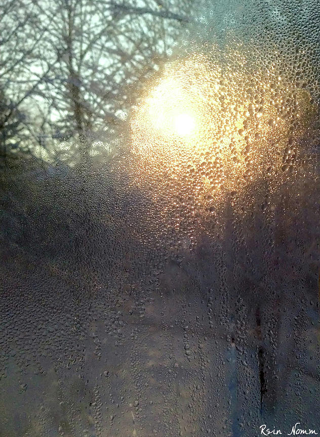 Winter Window Sunrise Photograph by Rein Nomm
