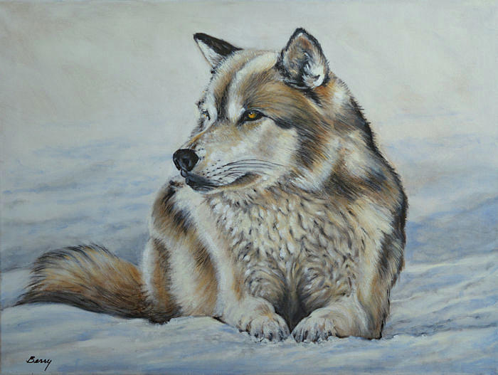 Winter Wolf Painting by Charles Berry