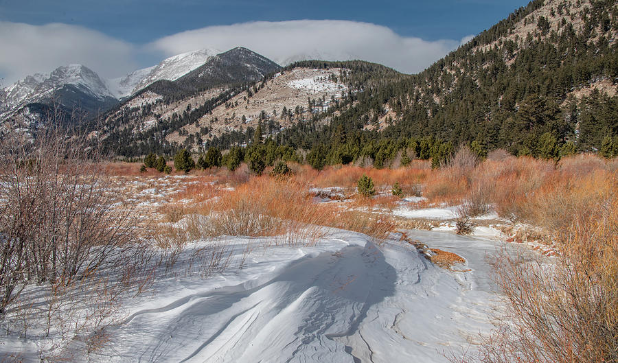 Winter Wonder in Colorado Photograph by Marcy Wielfaert
