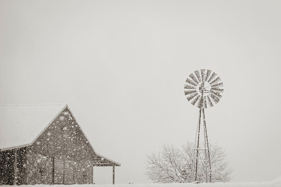 Winter Wonder Ranch Photograph by Pamela Steege