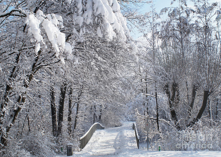 Winter Wonderland 10 Photograph by Rudi Prott