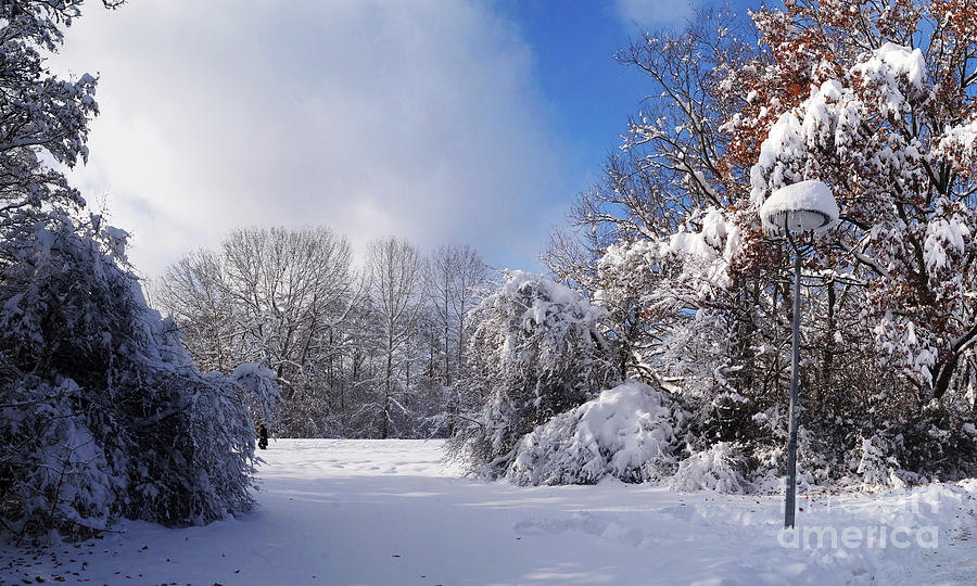 Winter Wonderland 15 Photograph by Rudi Prott