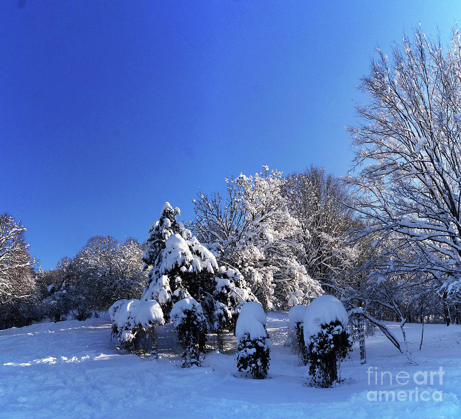 Winter Wonderland 16 Photograph by Rudi Prott
