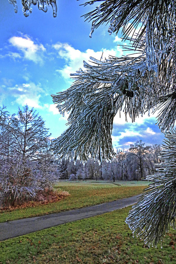 Winter Wonderland 25 Photograph by Allen Beatty
