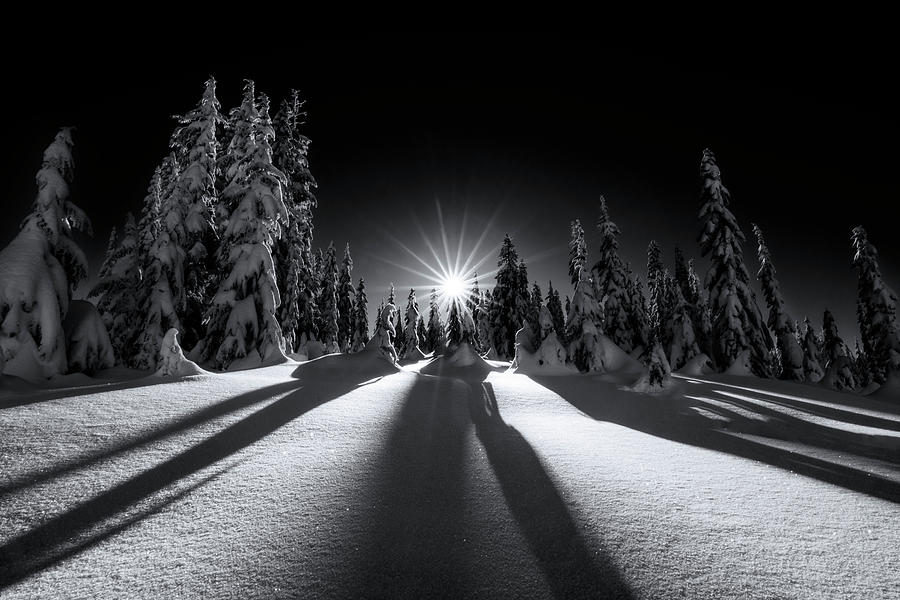 Winter Wonderland 5 Black and White Photograph by Pelo Blanco Photo