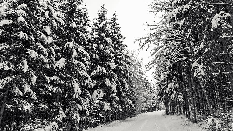 Winter Wonderland Photograph by Andreas_Zerndl