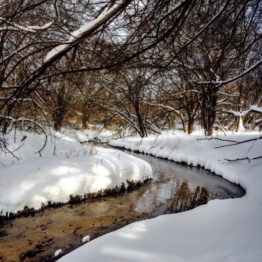 Winter Wonderland - Anthony Branch creek near Stoughton Wisconsin Photograph by Peter Herman