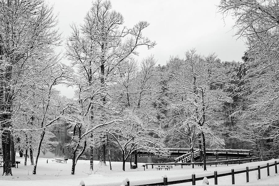 Winter Wonderland at Cherokee Lake Photograph by Kelly Kennon
