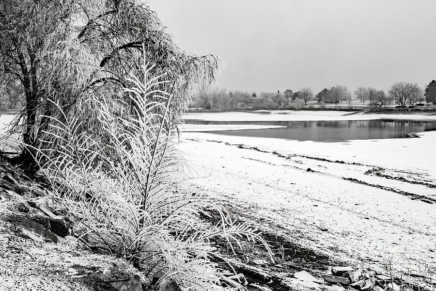 Winter Wonderland At Lake Loveland Photograph by Jon Burch Photography