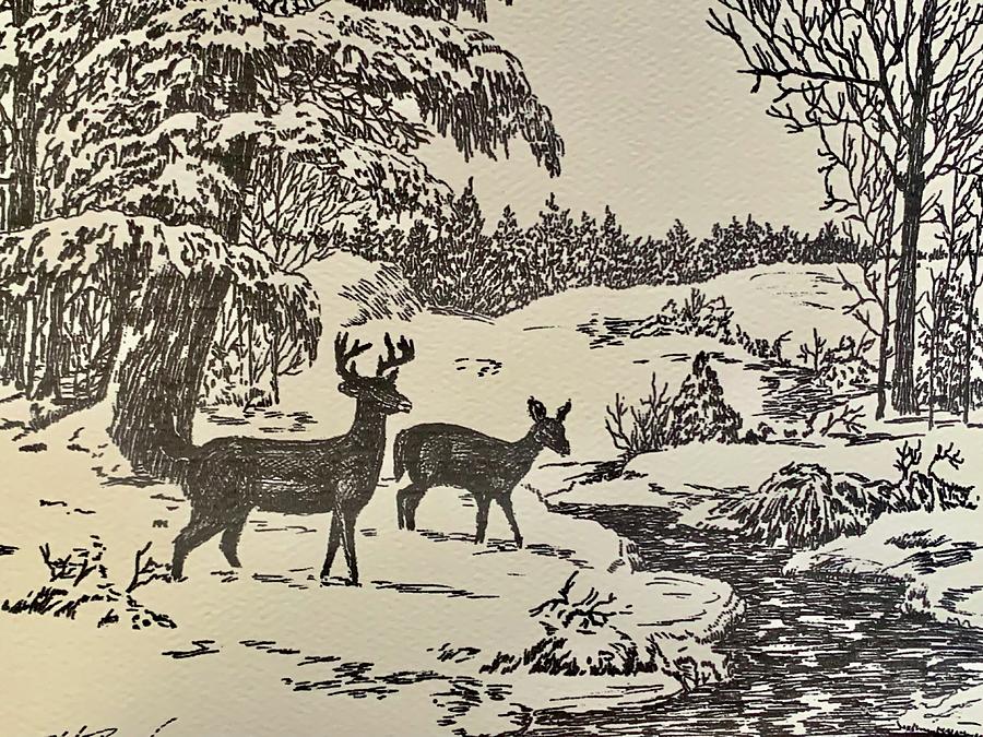 Winter wonderland Drawing by Blake Boucher - Fine Art America