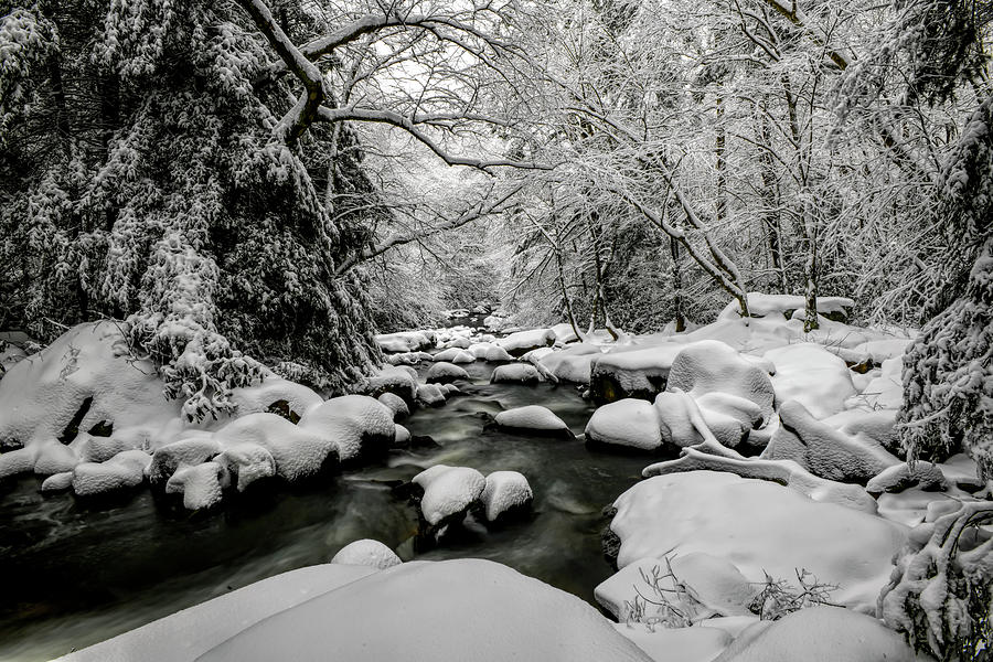 Winter wonderland Photograph by Dan Friend