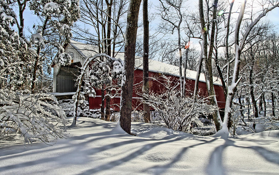 Winter Wonderland Photograph by DJ Florek
