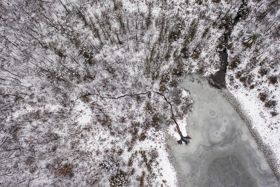 Winter wonderland from above  Photograph by John McGraw