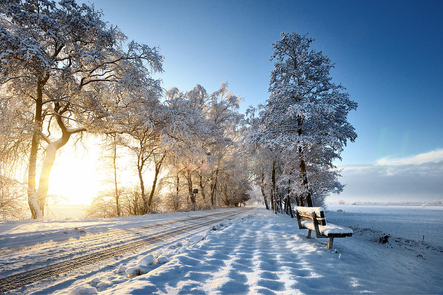 Winter wonderland Photograph by G.t.
