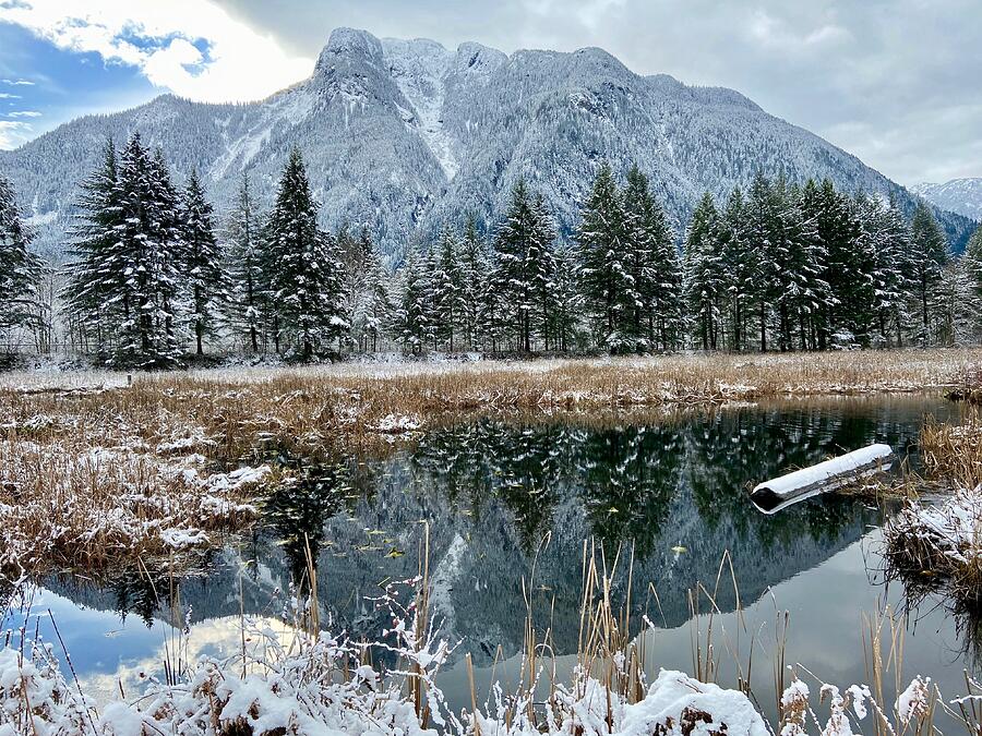 Winter Wonderland - Hope, BC Photograph by Ian McAdie
