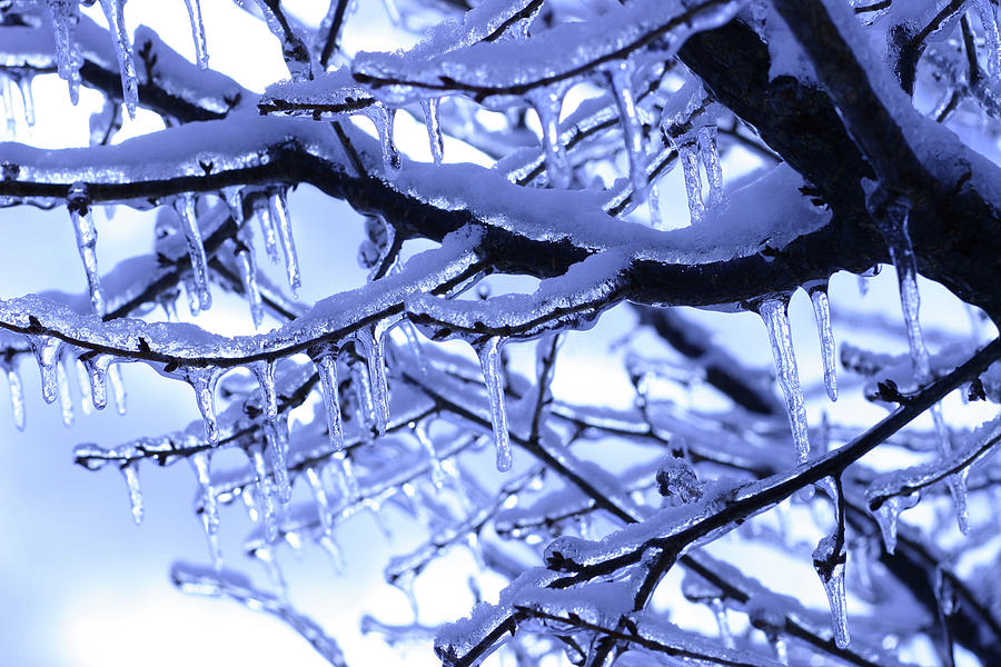 Winter Wonderland I Photograph by Joseph A Langley