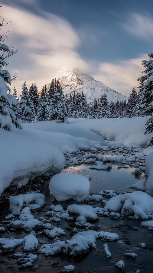 Winter Wonderland in the Canadian Rockies Photograph by Yves Gagnon