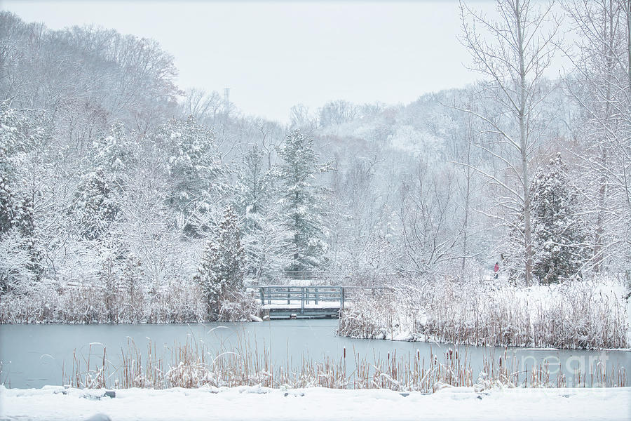 Winter Wonderland In Toronto Photograph by Charline Xia