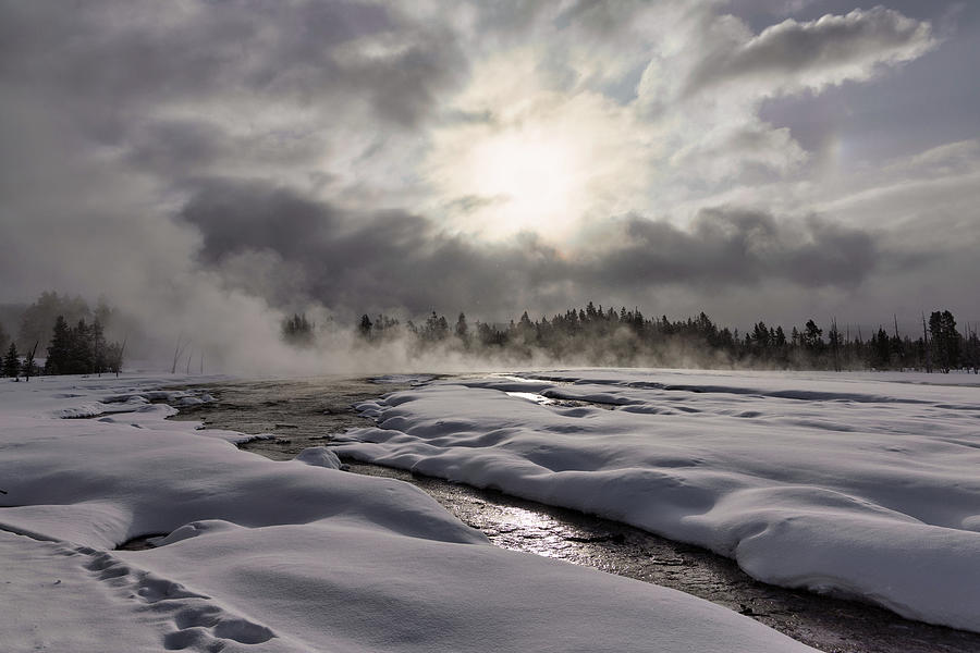 Winter Wonderland in Yellowstone Photograph by Cheryl Strahl