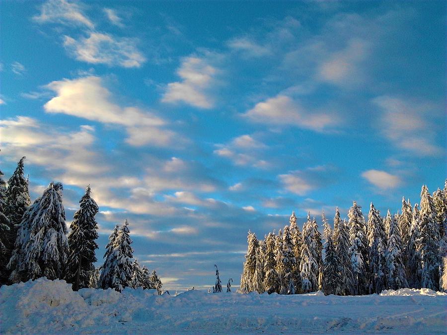 Winter Wonderland Photograph by James Cousineau